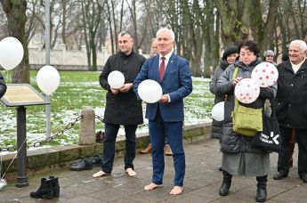 Акцию протеста против выдачи "паспортов возможностей" детям в Вильнюсе, 24 ноября 2021