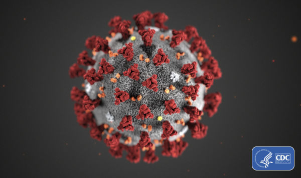 3D-модель 2019-nCoV