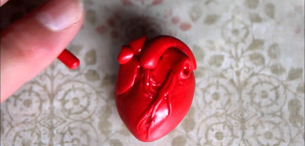 Человеческое сердце из полимерной глины