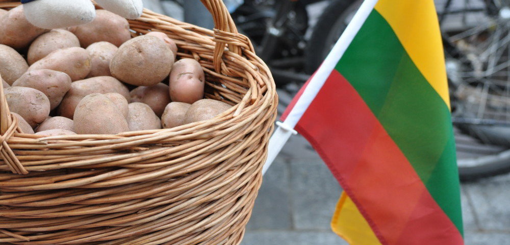 Литва в августе. Река нарва в ленинградской области. Прибалты эстонцы литовцы латвия. Литва допрыгается. Латвия-латыши,литва-.