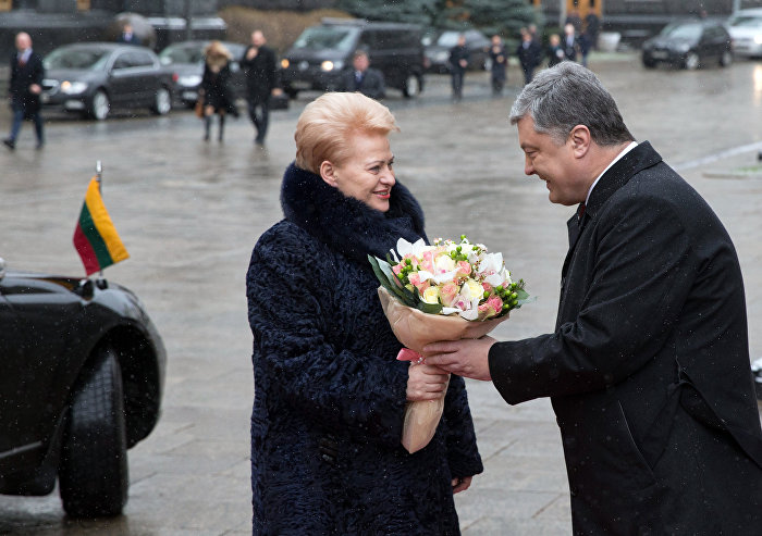 Встреча президента Украины П. Порошенко с президентом Литвы Д. Грибаускайте в Киеве