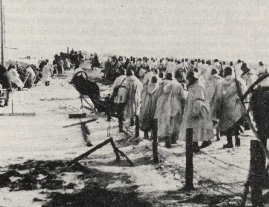 Батальон Aizpute в районе Освеи во время операции Winterzauber, 1943 год