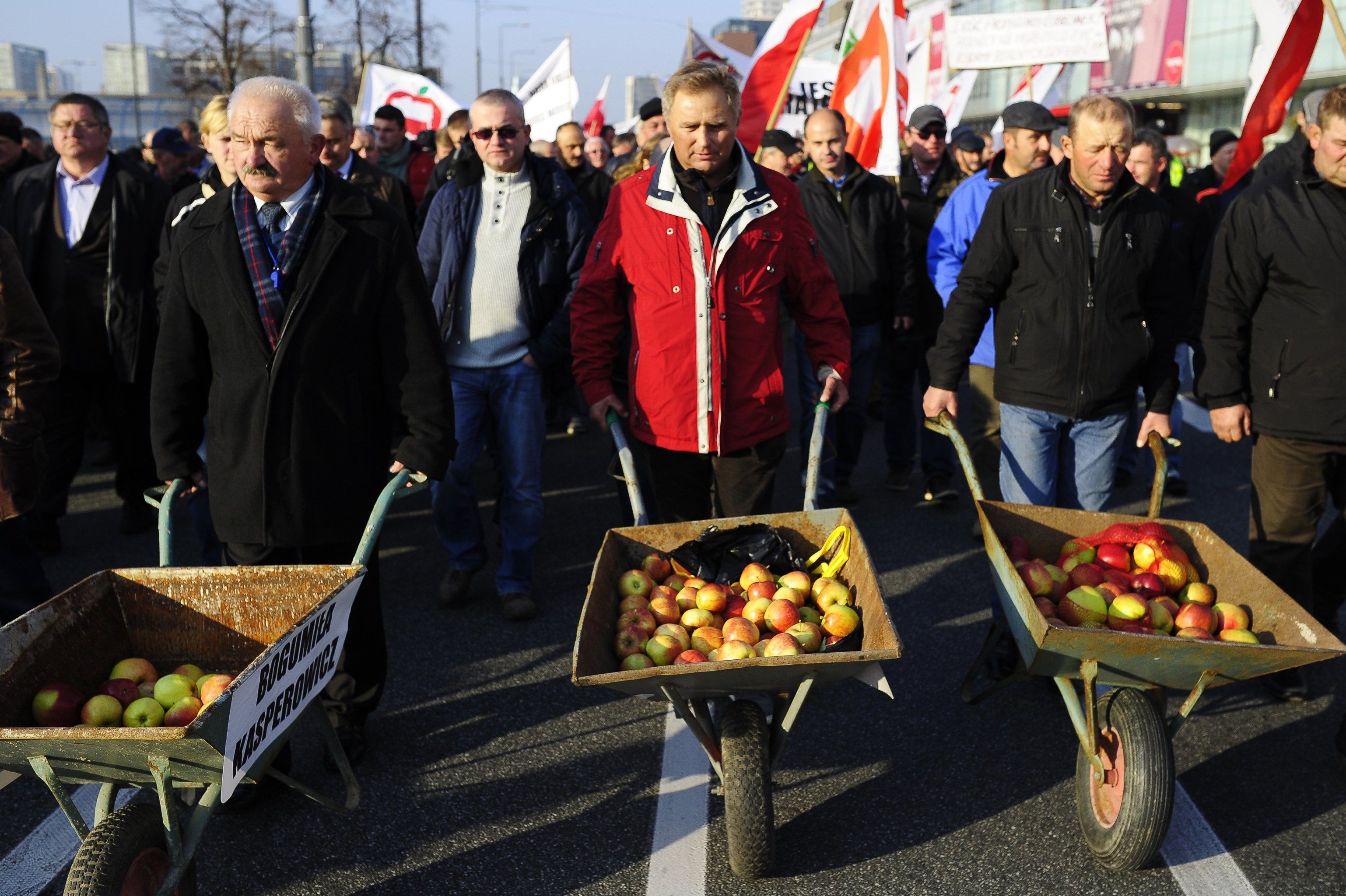 Фермеры в польше. Польша яблоки. Польские фермеры. Польские яблоки санкции. Польские фермеры яблоки.